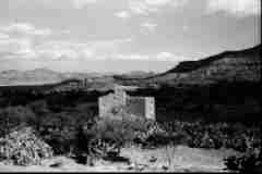 ���� ������ ��� ��� ����